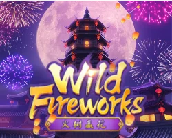 wild fireworks by pgspin99 ทางเข้า